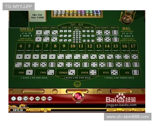 结合实际案例讲解赌大小的投注技巧与风险控制方法全面提升游戏水平